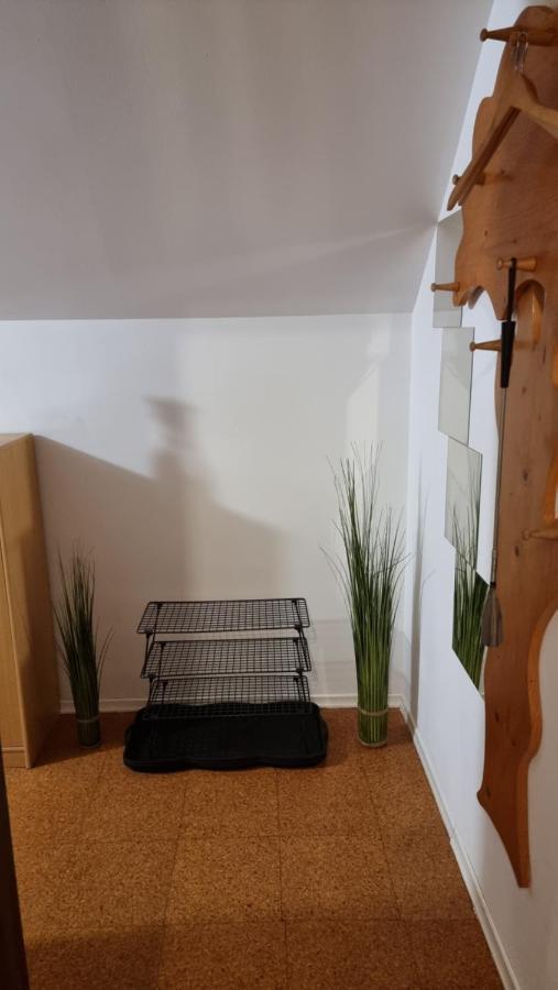 Apartma Ursic Kranjska Gora Exteriör bild